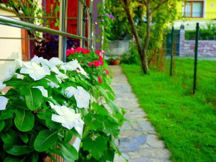 Egemen Hotel Sapanca Zewnętrze zdjęcie