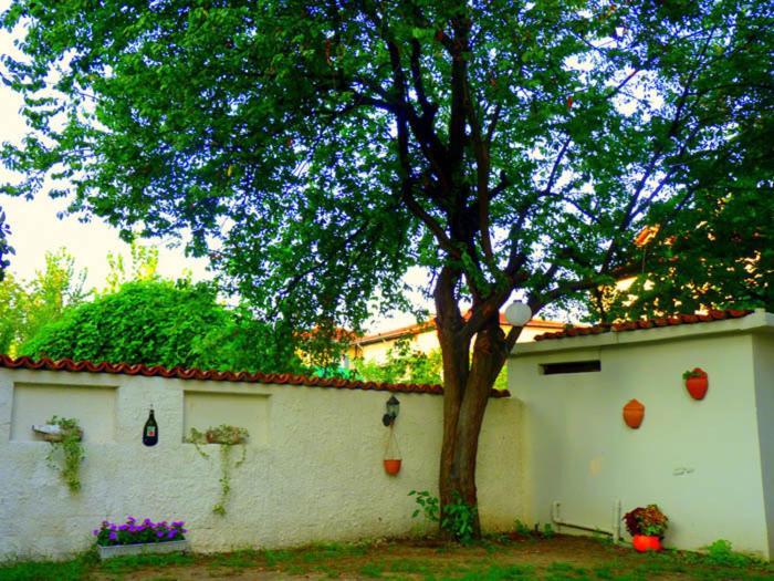 Egemen Hotel Sapanca Zewnętrze zdjęcie